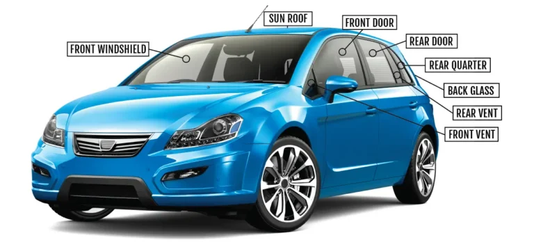 Lucky Dog Car Diagram